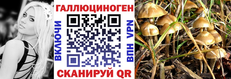 Купить закладки  Козельск  Галлюциногенные грибы мицелий 